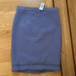 Ann taylor blue skirt